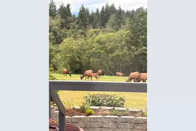 44871 SE Highway 26, Sandy, OR 97055 - Photo 5