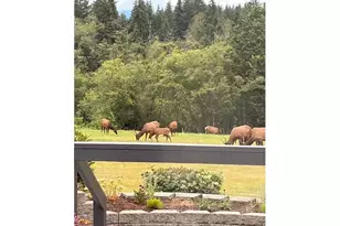 44871 SE Hwy 26, Sandy, OR 97055 - Photo 5