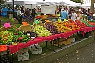 1630 S Harbor Way, Portland, OR 97201 - Photo 43