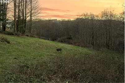 185 Coronet Dr, Ariel, WA 98603 - Photo 21