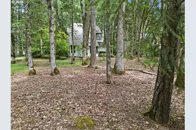 4650 Old Dillard Rd, Eugene, OR 97405 - Photo 45