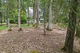 4650 Old Dillard Rd, Eugene, OR 97405 - Photo 45