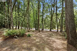 4650 Old Dillard Rd, Eugene, OR 97405 - Photo 47