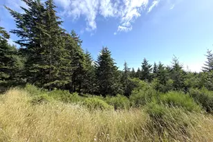 47500 Pacific View Dr, Langlois, OR 97450 - Photo 35