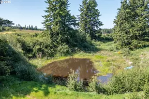 25641 S Schockley Rd, Beavercreek, OR 97004 - Photo 33