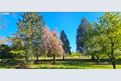 93579 River Rd, Junction City, OR 97448 - Photo 17