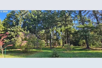 93579 River Rd, Junction City, OR 97448 - Photo 19