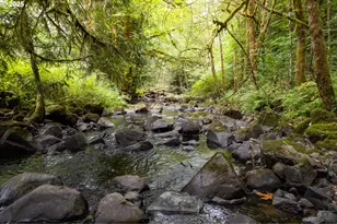 30004 Scappoose Vernonia Hwy, Scappoose, OR 97056 - Photo 23