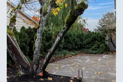 12500 SW Prince Albert St, King City, OR 97224 - Photo 21