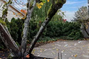 12500 SW Prince Albert St, King City, OR 97224 - Photo 21