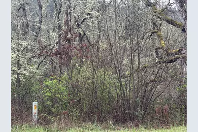 82750 Bear Creek Rd, Creswell, OR 97426 - Photo 3