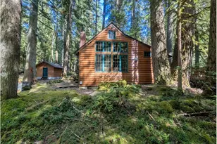78200 E Rd 35A Lot 4, Government Camp, OR 97028 - Photo 3