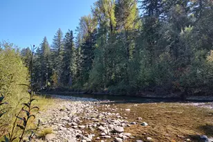 92 Cannavina Rd, Carson, WA 98610 - Photo 1