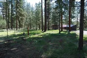38987 Deer Creek Rd, Baker City, OR 97814 - Photo 11