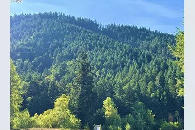 5184 Upper Cow Creek Rd, Azalea, OR 97410 - Photo 15