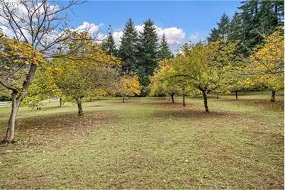 35982 Shoreview Dr, Dorena, OR 97434 - Photo 41