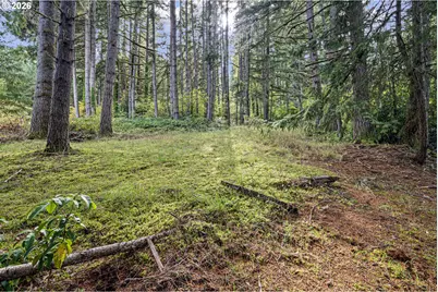 35982 Shoreview Dr, Dorena, OR 97434 - Photo 43