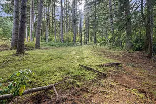 35982 Shoreview Dr, Dorena, OR 97434 - Photo 43