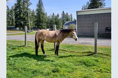 40299 Gates School Rd, Gates, OR 97346 - Photo 29