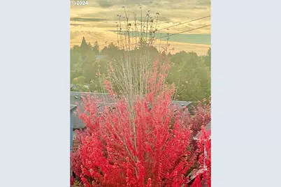 6022 SW 18th Dr, Portland, OR 97239 - Photo 37