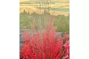 6022 SW 18th Dr, Portland, OR 97239 - Photo 37