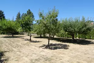 26684 S Fish Rd, Mulino, OR 97042 - Photo 9