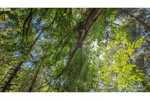 1523 N Tenmile, Lakeside, OR 97449 - Photo 25