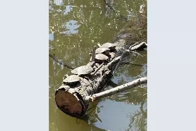 0 Rice Creek Rd, Winston, OR 97496 - Photo 43