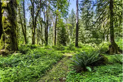 39105 SE Gordon Creek Rd, Corbett, OR 97019 - Photo 31