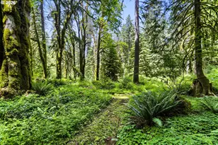 39105 SE Gordon Creek Rd, Corbett, OR 97019 - Photo 31
