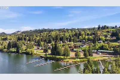 132 Lake Terrace Dr, Mossyrock, WA 98564 - Photo 41