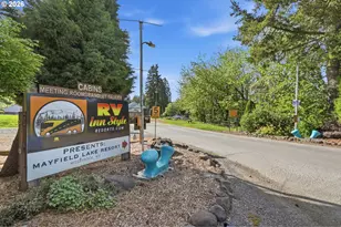 132 Lake Terrace Dr, Mossyrock, WA 98564 - Photo 39