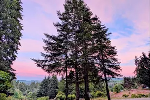 339 Nevala Rd, Woodland, WA 98674 - Photo 47