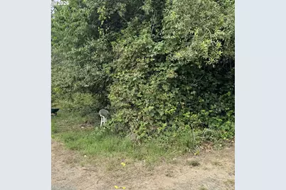 00 A St, Myrtle Point, OR 97458 - Photo 3