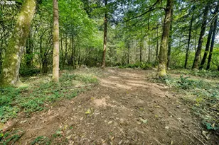 30879 Dowd Rd, Saint Helens, OR 97051 - Photo 45