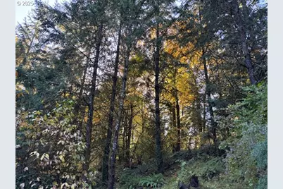 16003 SE Cielo Ct, Damascus, OR 97089 - Photo 47