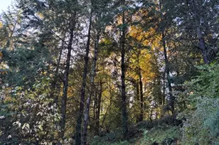 16003 SE Cielo Ct, Damascus, OR 97089 - Photo 47