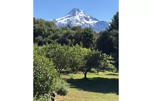 8320 Cooper Spur Rd, Mount Hood Prkdl, OR 97041 - Photo 5
