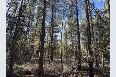 Keyser Circle #29, Chiloquin, OR 97624 - Photo 21