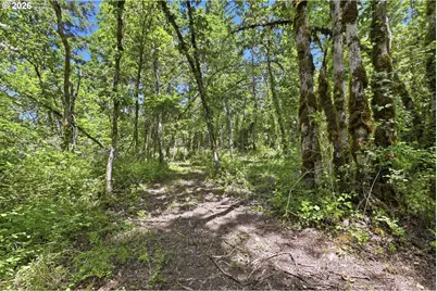 Rogers - Lot 3 Ln, Dexter, OR 97431 - Photo 11