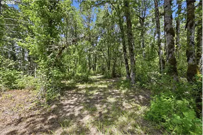 Rogers - Lot 3 Ln, Dexter, OR 97431 - Photo 17