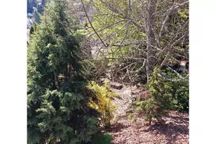 1674 Olympia Ct, Salem, OR 97304 - Photo 31