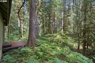 28320 E Road 20, Rhododendron, OR 97049 - Photo 33