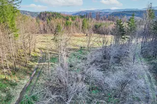 0 SE Michaels, Estacada, OR 97023 - Photo 1