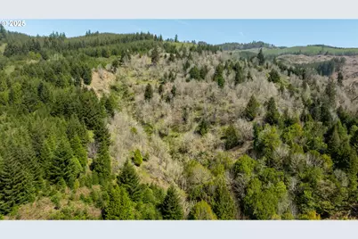 0 Kentuck Way Ln, North Bend, OR 97459 - Photo 9