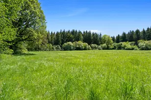 46870 Lyons Mill City Dr, Lyons, OR 97358 - Photo 37