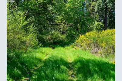 46870 Lyons Mill City Dr, Lyons, OR 97358 - Photo 39