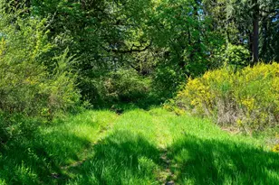 46870 Lyons Mill City Dr, Lyons, OR 97358 - Photo 39