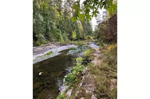 77189 Mosby Creek Rd, Cottage Grove, OR 97424 - Photo 35