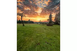 77189 Mosby Creek Rd, Cottage Grove, OR 97424 - Photo 7